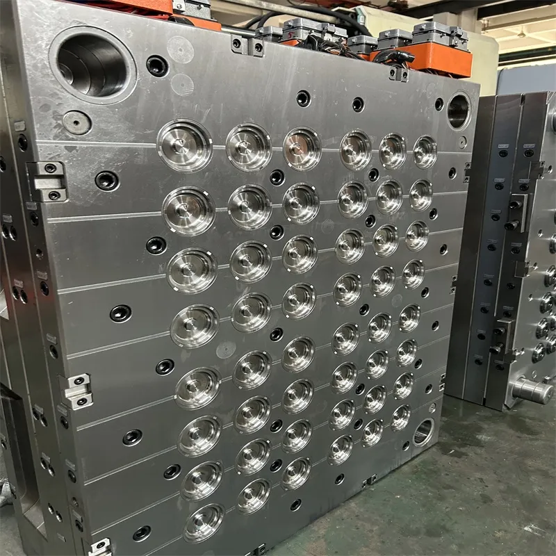24 Cavity 5 Gallon Cap Mold with Hot Runner System